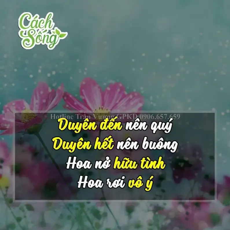 Đăng ký thành lập hộ kinh doanh tại Phường An Tịnh, Tây Ninh: Hướng dẫn chi tiết - ảnh minh họa 10