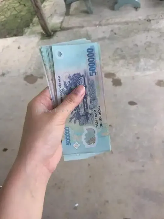 Bảng giá dịch vụ kế toán trọn gói uy tín cho doanh nghiệp Lâm Ly Bi Đát